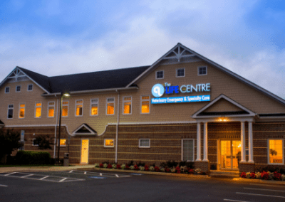 the life center leesburg neurology